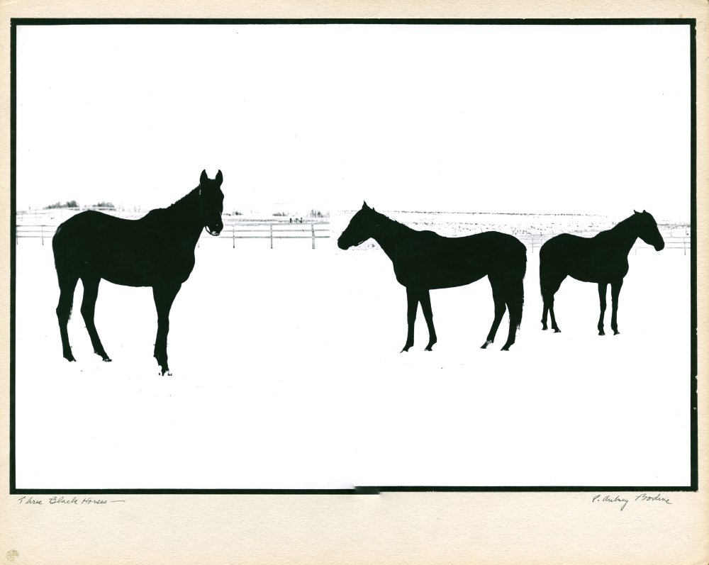Click for larger image